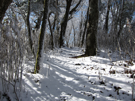 20191129hike (194)